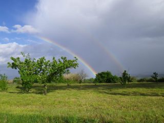 paesaggio dopo il temporale