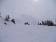 in uscita dal bosco
