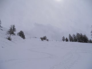in uscita dal bosco