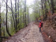 sulla strada del ritorno 