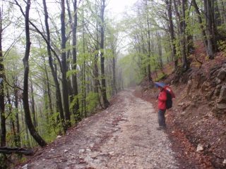 sulla strada del ritorno 