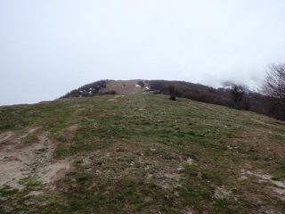 Cima Robert