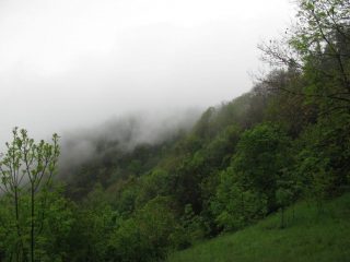 Cima del Bric Filia nella nebbia