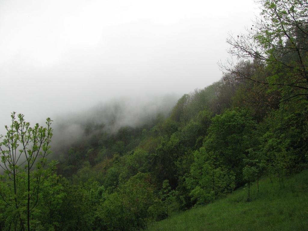 Cima del Bric Filia nella nebbia