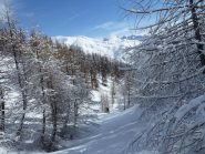 Paesaggio tipicamente invernale