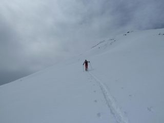 Punta in vista