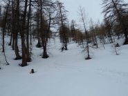 Nel bosco ancora bellissima neve