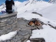 Meritato riposo per Cora