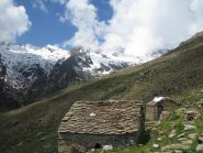 Alpe Cantello grande
