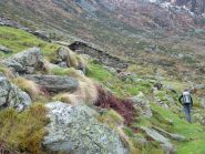 all'alpe Usàiri