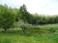 Stagno lungo la strada Campore