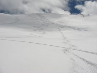 Non ci posso credere