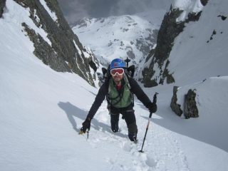 Pino in uscita