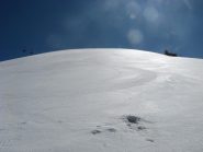 la marmotta è già uscita..