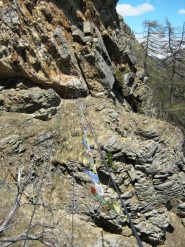 primo ponte tibetano