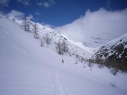 l'uscita dal bosco...