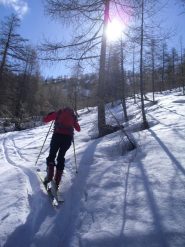 la salita nel bosco...