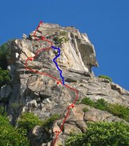 il nostro itinerario in blu verso l'albero