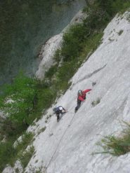 placca fantastica a buchetti