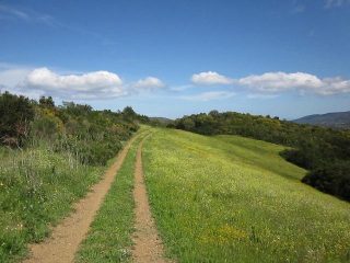 paesaggio bucolico scendendo dal Monte Orello