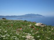 in cima al Monte Grosso, ultima cima del trekking