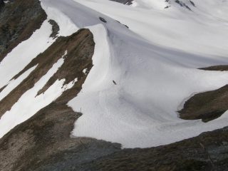 Cora in esplorazione