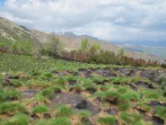 Le conseguenze dell'incendio sul Muretto