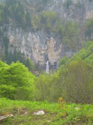 Il Pis in questo periodo butta bene.