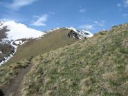 Ultima parte della dorsale