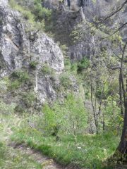 tratto di salita a piedi sotto il Rubbio