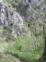 tratto di salita a piedi sotto il Rubbio