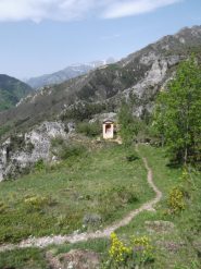 lungo il sentiero dei ciclamini