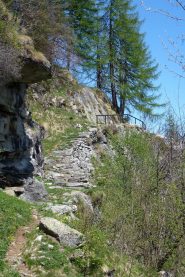 Sentiero verso Case Francoli