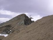 L'ultima parte di salita