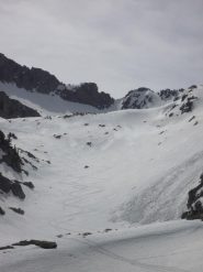 neve primaverile pappetta