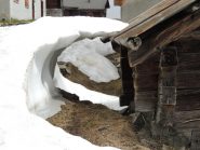 Neve a Belalp