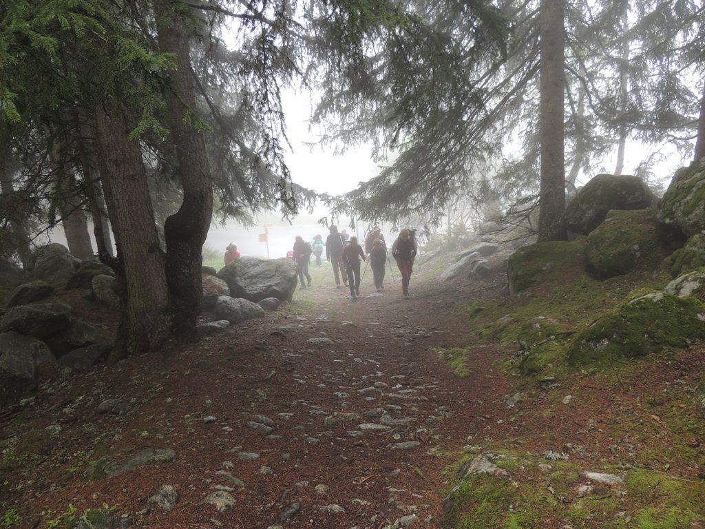 Partenza nella nebbia