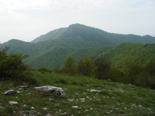 Carmo dal Bric Agnellino
