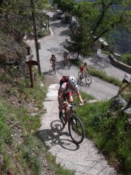 variante dura sopra Bergue