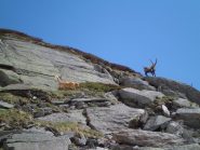 incontri ravvicinati 