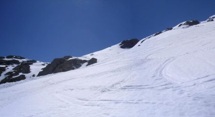 bella discesa  in primaverile con ampi spazi intonsi...