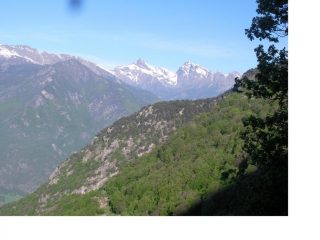 Il M.Avic ea dx il M.Ruvi...salendo al Col Vert da Pre'