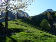 colori e ombre della sera