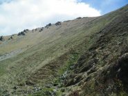 Il pendio erboso sopra le Tegge di campo