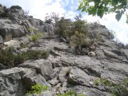 L1: dalla partenza i primi metri un po' 