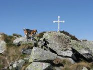 FLICK è arrivato prima