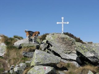 FLICK è arrivato prima