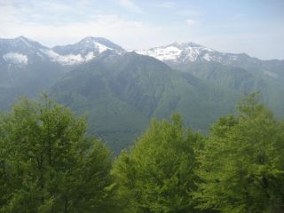 verde su verde: scorcio del panorama poco dopo la partenza verso Tignolino e Togano