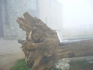 la fontana del rifugio