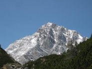 Antelao da Forcella Piria